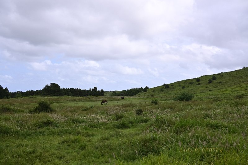 Jhl 3363