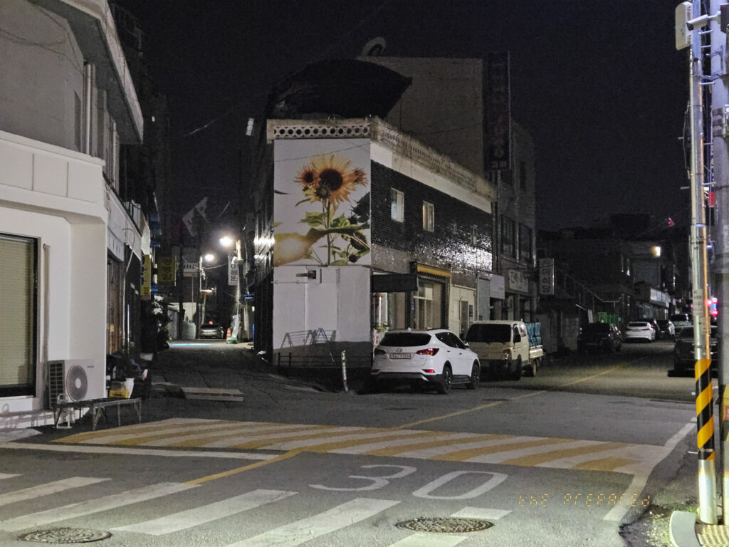 밤에 촬영한 골목길 사진입니다. 골목은 좁고 비어 있으며 도로 양쪽에 건물이 늘어서 있습니다. 가로등으로 환하게 밝혀져 있으며 전반적으로 어두운 장면입니다. 노란색과 검은색으로 칠해진 교통 차단 장치가 눈에 띄게 배치되어 있으며 도로에 30이라는 숫자가 명확하게 표시되어 있습니다. 골목길 오른쪽에 해바라기가 벽에 그려진 건물이 있습니다.