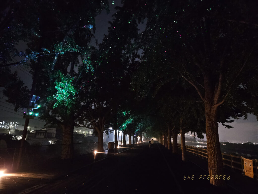 불빛으로 장식된 가로수길을 담고 있으며, 밤의 어두운 배경 속에서 나무에 매달린 빛들이 신비로운 분위기를 연출합니다.