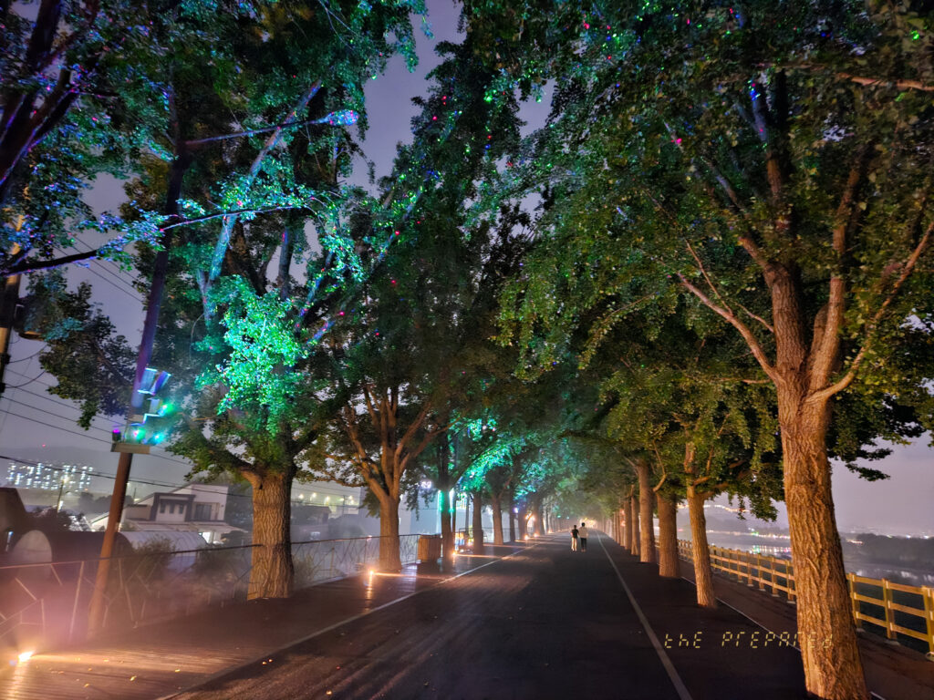 불빛으로 장식된 가로수길을 담고 있으며, 밤의 어두운 배경 속에서 나무에 매달린 빛들이 신비로운 분위기를 연출합니다.