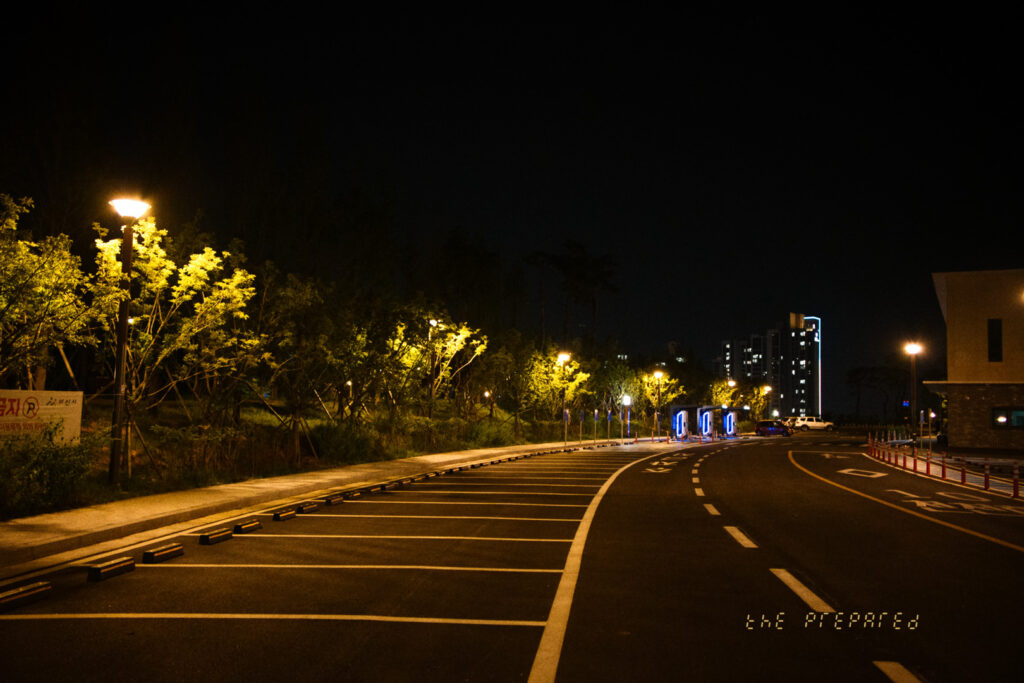 조명이 켜진 나무와 포장된 도로가 있는 야간 주차장 이미지