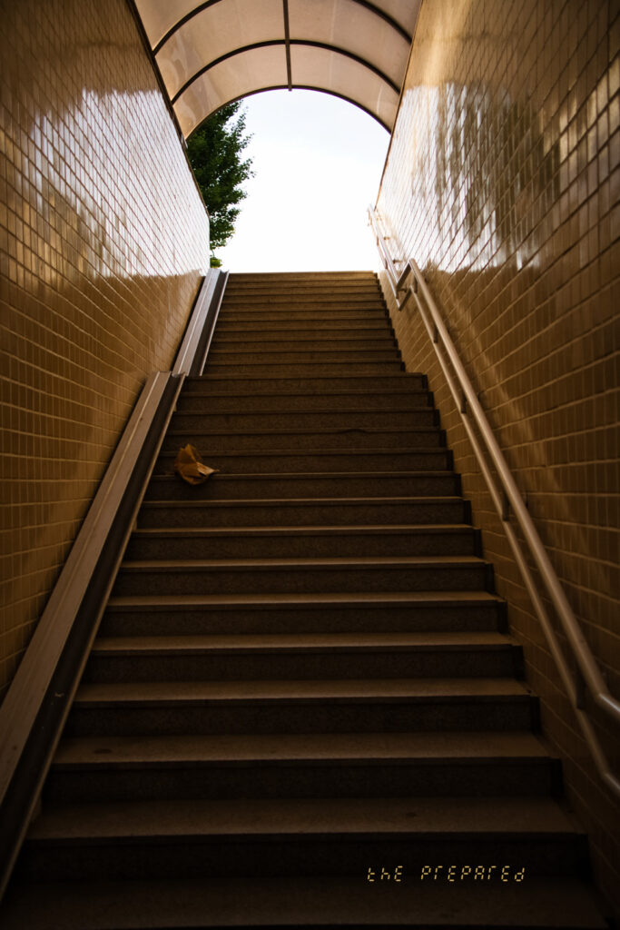 계단은 배경의 빛을 향해 기울어진 일련의 그림자진 직사각형으로 구성되어 있습니다. 계단은 두 개의 타일 벽 사이에 들어 있으며