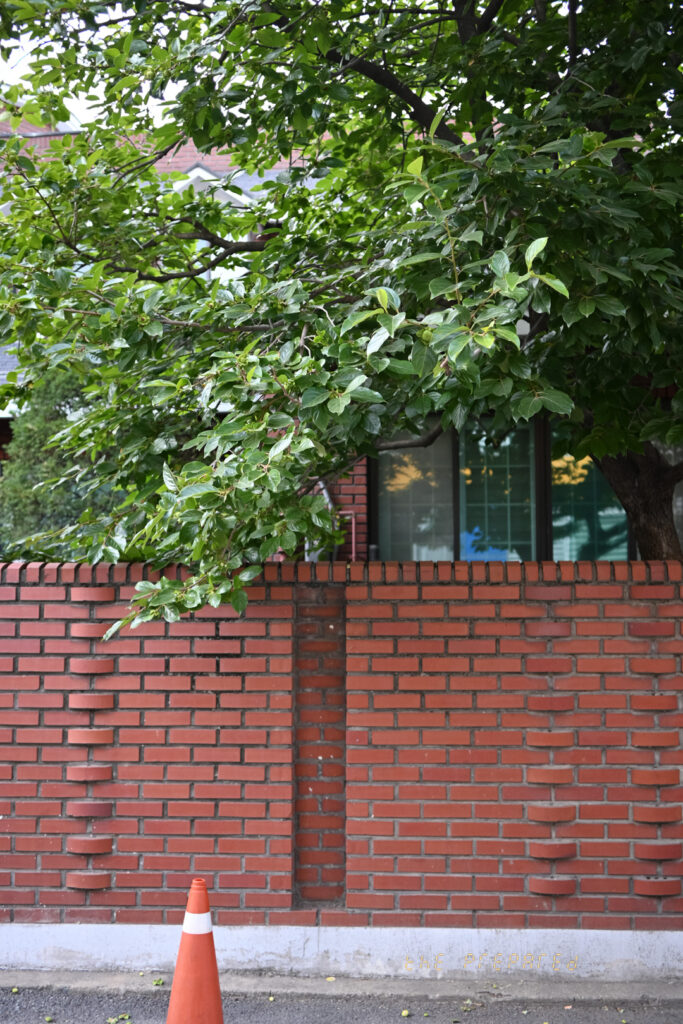 울타리와 나무가 있는 동네 이미지. 벽돌로 만든 붉은 담장이 보이고, 그 위에 나뭇잎이 무성한 나무가 자라고 있습니다. 담장 앞에는 오렌지색 교통 콘이 놓여 있습니다.