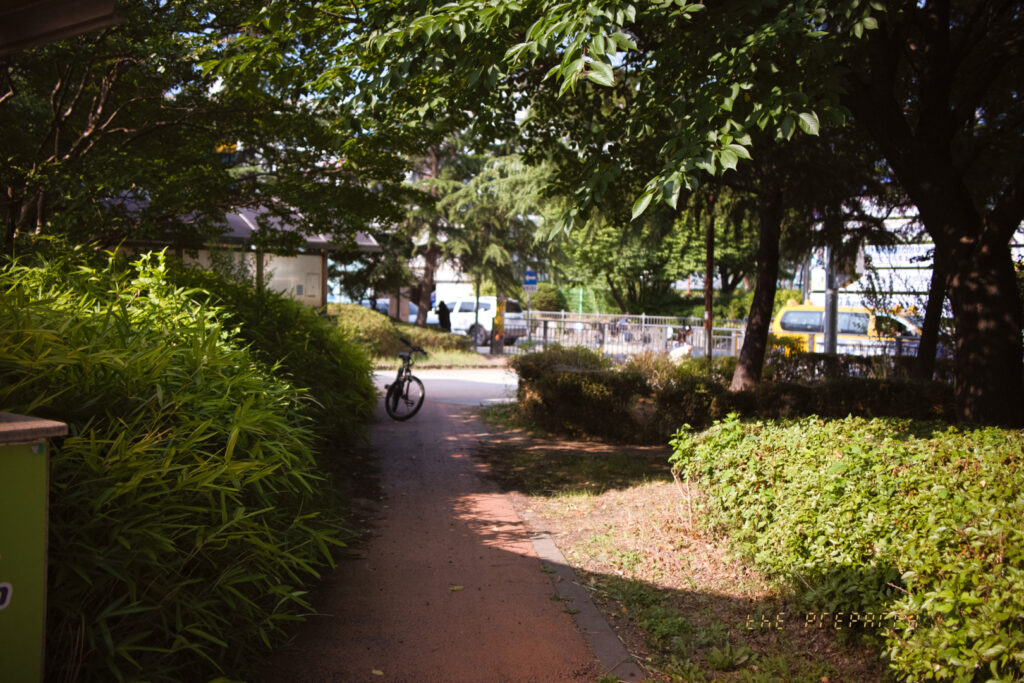 자전거 한 대가 놓여 있는 나무와 덤불이 우거진 공원 통로 사진. 멀리 자동차와 사람들이 보입니다