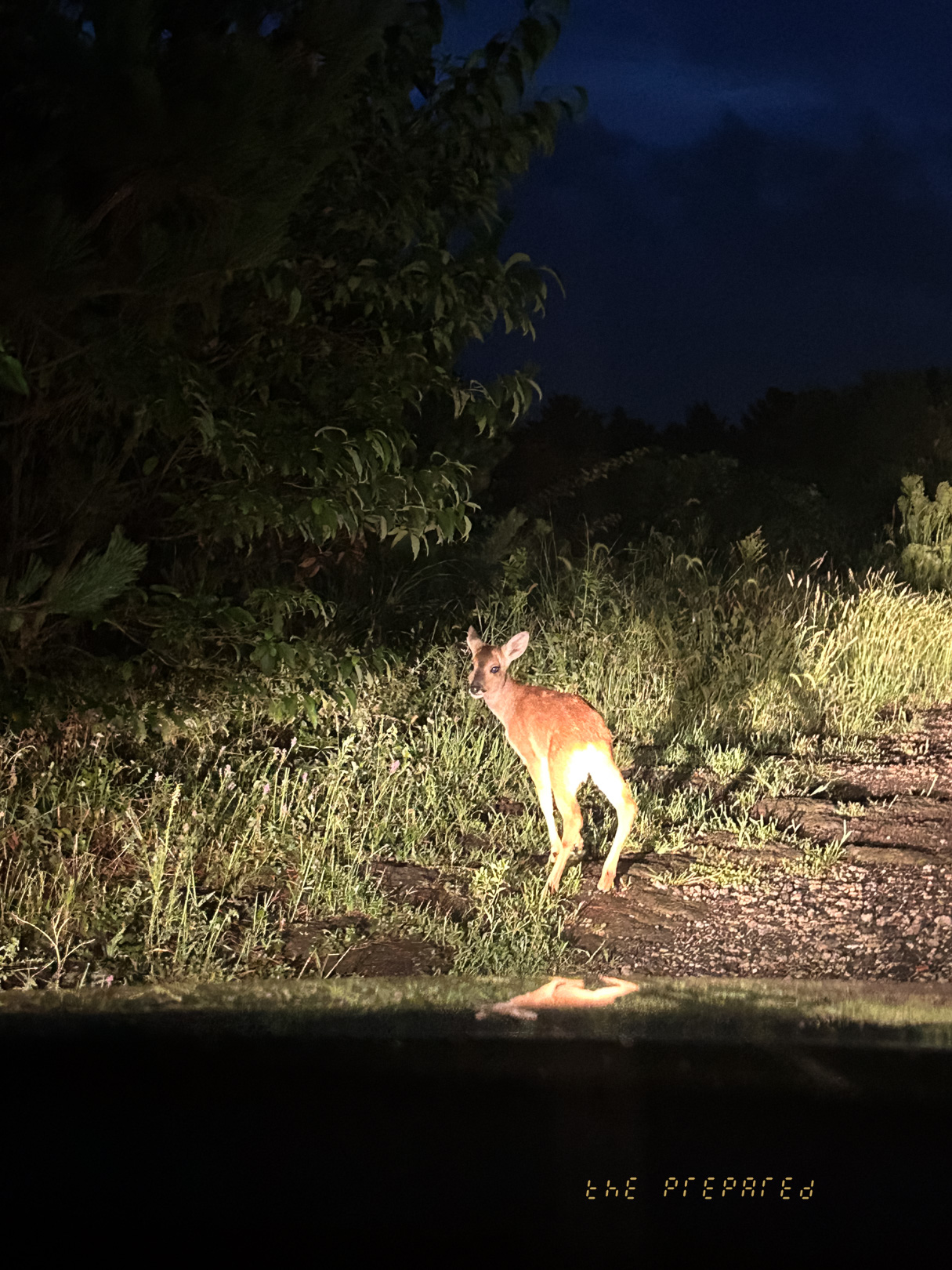 2024년 제주특별자치도 영상기록