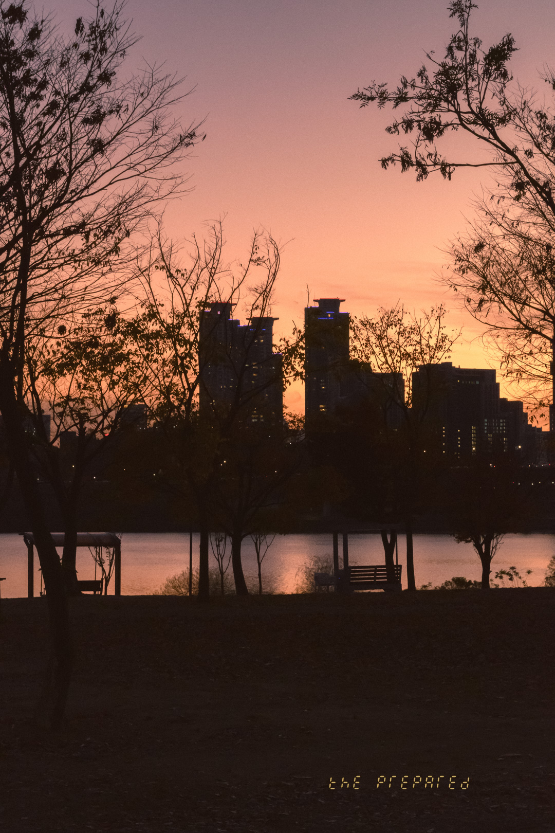 2024년 서울특별시 뚝섬유원지 영상기록