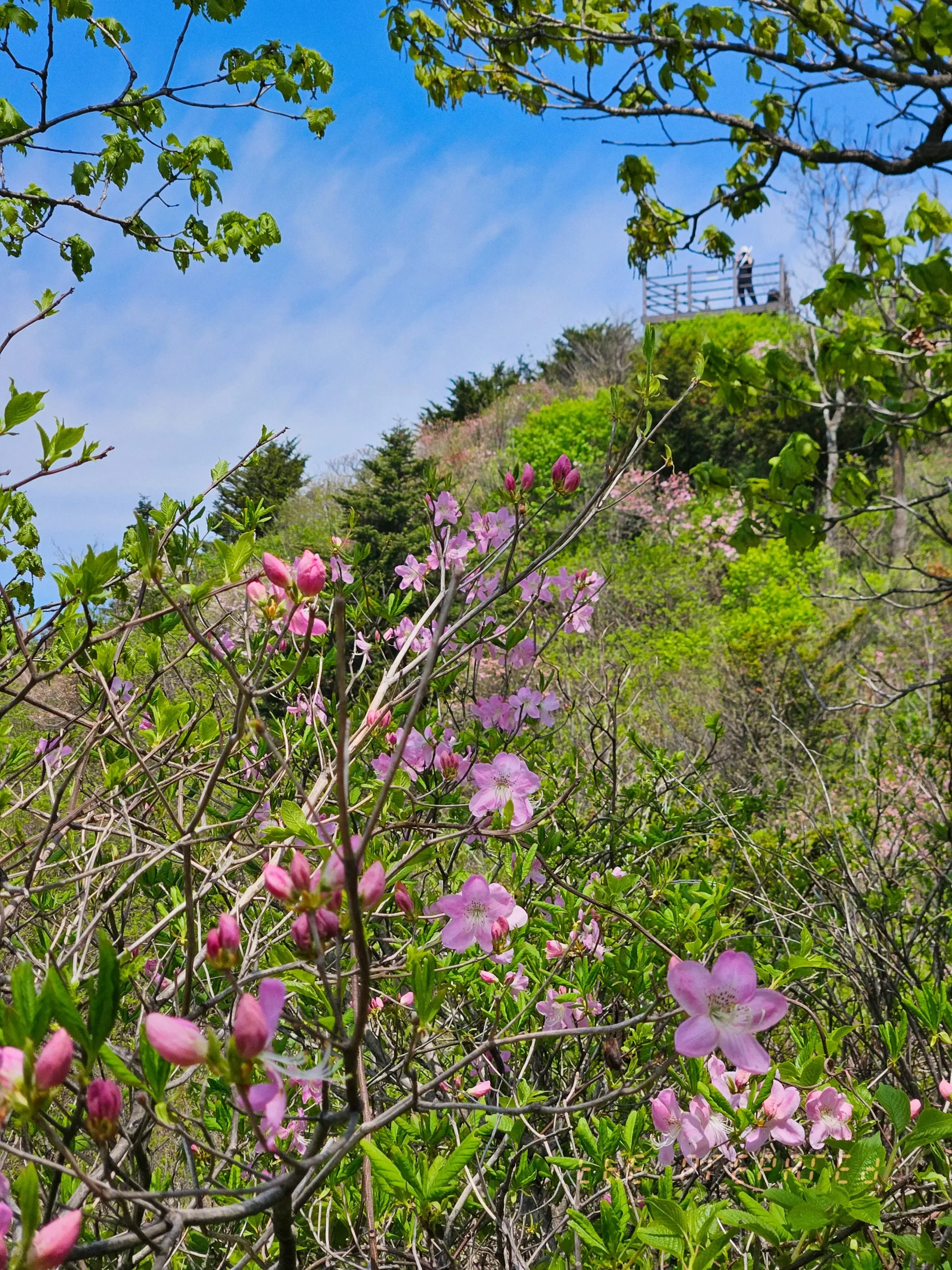 2025년 가평군 연인산 영상기록