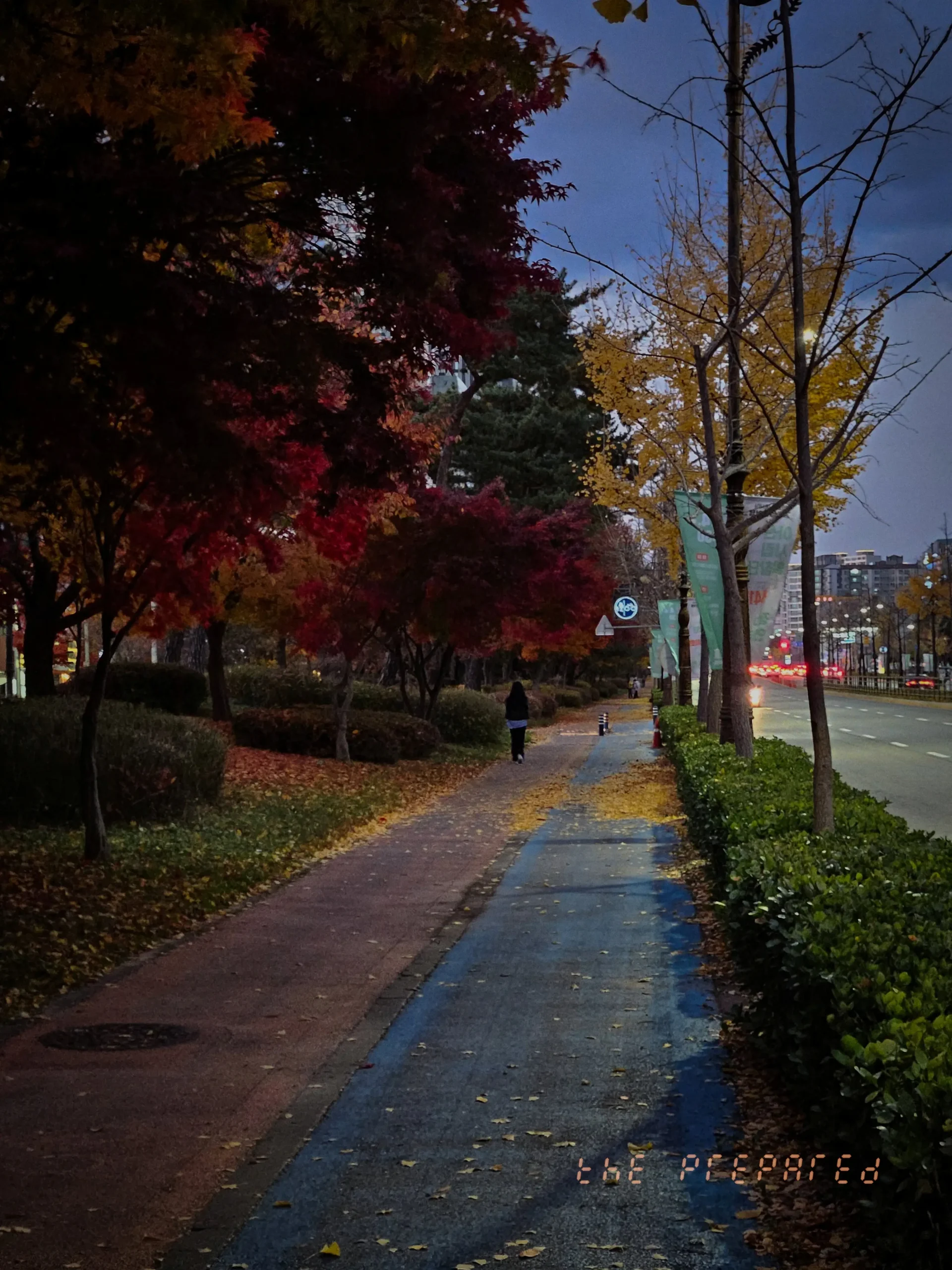 2025년 아산시 가을 영상기록