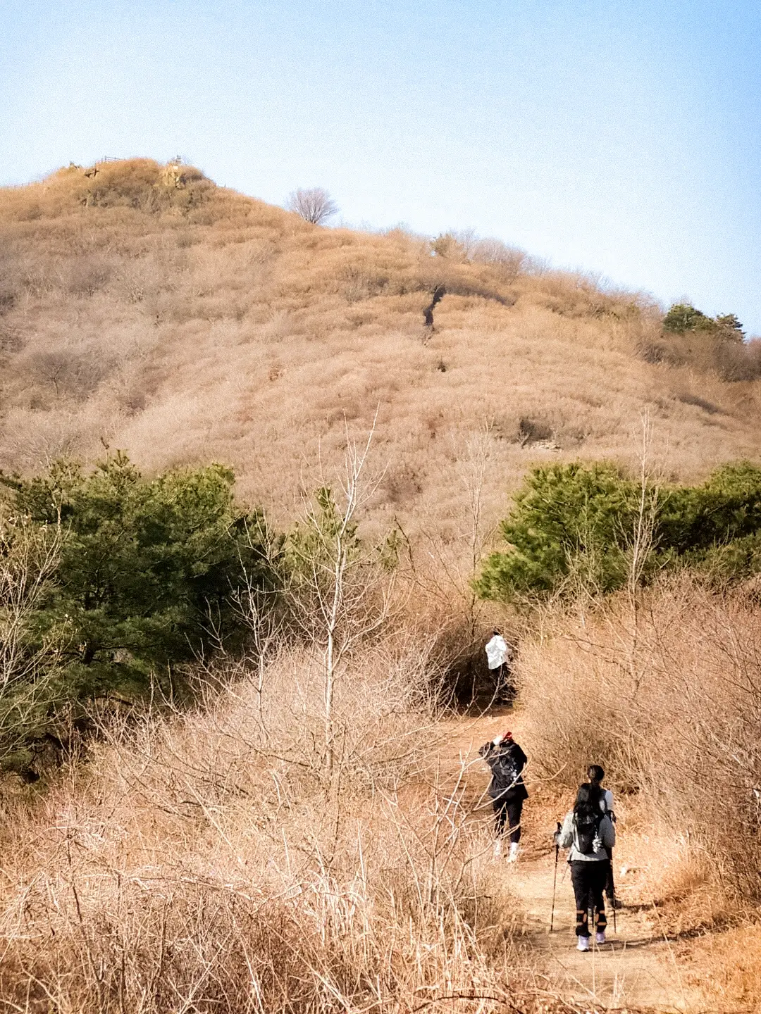 2025년 여수시 영취산 영상기록